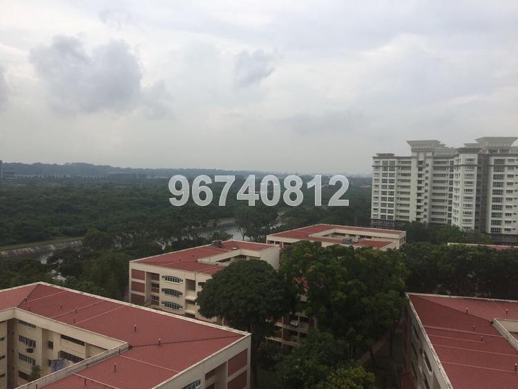 Rio Casa (Enbloc) (D19), Apartment #153164182